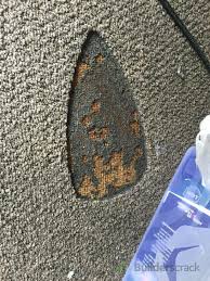 carpet repair iron burn 85602