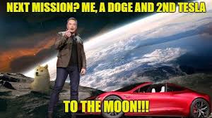 Whether he liked it or not, with 54 percent of the votes, elon musk was inadvertently crowned as dodgecoin's new ceo. Next Mission From Elon Musk Dogecoin
