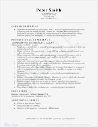 Sample Resume For Experienced Sales And Marketing Professional Valid