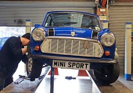 warning signs that your mini needs a