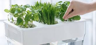 best indoor hydroponic systems aquaponics