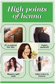 If at any point you think that henna does not suit your hair then you must cease to apply henna and. How Henna Can Nourish Your Hair Femina In