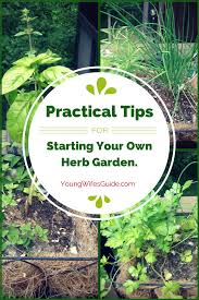 Own Herb Garden