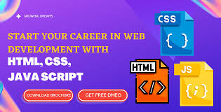 get html css and java script training