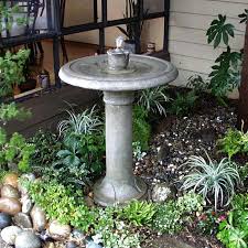 Bird Bath And Other Plants And Ideas
