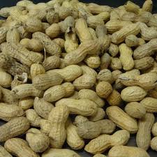 image of groundnuts à¤•à¥‡ à¤²à¤¿à¤ à¤‡à¤®à¥‡à¤œ à¤ªà¤°à¤¿à¤£à¤¾à¤®