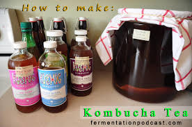 how to make kombucha tea the scoby