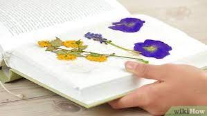 how to preserve flowers in a book 10