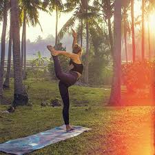 Tolle farben, zum zusammenrollen und besonders dicke qualität. Yogamatte Naturkautschuk Yogashop 2021 Jetzt Gunstig Online Kaufen