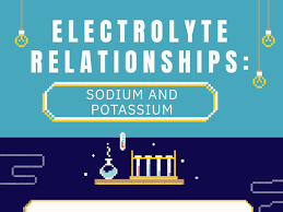 electrolyte relationships sodium and