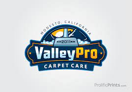 valley pro carpet care logo design