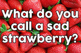 We did not find results for: 17 Jokes About Fruit That Will Make You Laugh I Swear