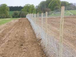 Tips On Building A Deer Proof Fence