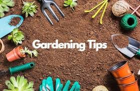 10 Amazing Gardening Tips And Tricks