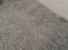 elite carpet cleaning san jose ca 95134