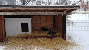 Diy Insulated Winter Dog House Keep