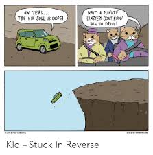 Save and share your meme collection! Wait A Minute Hamsters Dont Know How To Drive Aw Yeah This Kia Soul Is Dope C 2014 Nils Guldberg Stuck In Reversecom Kia Stuck In Reverse Dope Meme On Me Me