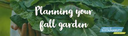 Planning Your Fall Garden Austintexas Gov