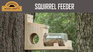 easy diy squirrel feeder you