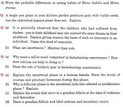 CBSE Class    English Exam Paper             Student Forum     kate chopin annotated bibliography critical works