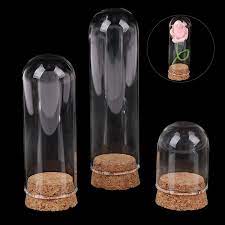 1 6 doll glass dome display wood cork