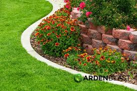 Best Border Plants For Your Garden Our