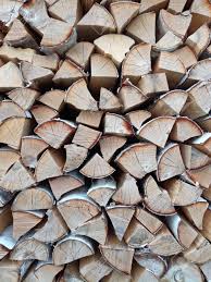 Background Of Wooden Logs Year Rings Pile Wood Deforestation