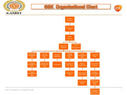 Gsk Organizational Presentaion