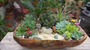 14 Diy Cactus Dish Garden Ideas