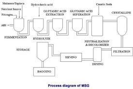 Manufacturing Process Monosodium Glutamate