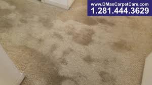 carpet cleaning houston d max carpet