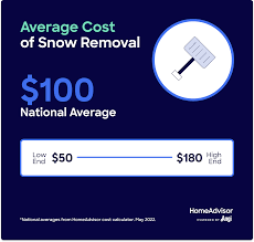 how much does snow removal cost