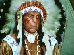 Image result for iron eyes cody