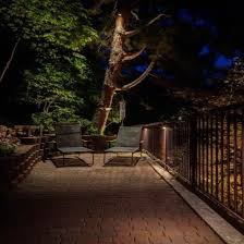 Landscape Lighting Accenting Trees