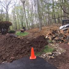 Amazing tree services is a fully insured company specializing in tree removal service in nj. Robles Tree Service Llc Home Facebook