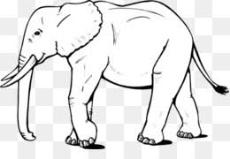 Jakarta 14 juni 2021hallo semua.kali ini saya buat sketsa gajah.gajahnya aga gendut. World Elephant Day Png And World Elephant Day Transparent Clipart Free Download Cleanpng Kisspng