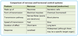 Comparing Nervous And Hormonal Coordination Grade 9