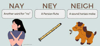 nay ney or neigh difference meaning