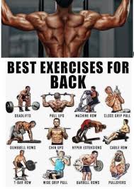 Others, like sumo deadlifts, have been shown in emg studies—and in the trenches—to focus more on other muscle groups than the back. Gym Workout Chart Muscle Love This Workout For Back Facebook