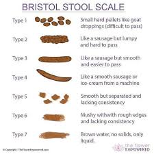 Bristol Stool Chart Bristol Stool Stool Chart Bristol