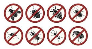 Maybe you would like to learn more about one of these? Pest Control Wilson Nc Empire Pest Control