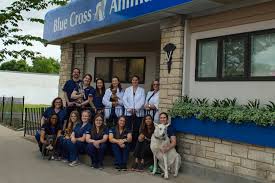 There are 23 animal hospitals in north dakota, serving a population of 745,475 people in an area of 68,983 square miles. Support Staff Minneapolis Veterinarian