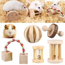 5pcs natural wooden chew pets toy for