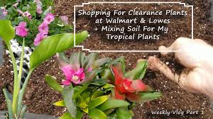 5% off your lowe's advantage card purchase: Shopping For Clearance Plants At Walmart Lowes Mixing Soil Petunias Part 1 Youtube