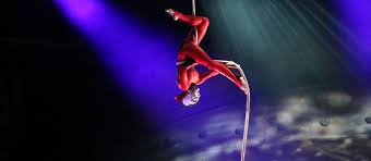 Cirque Du Soleil Luzia Vancouver Tickets Concord Pacific
