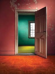 photography carpets homes dyes and