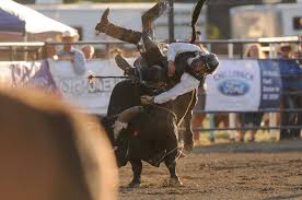 100 bull riding pictures wallpapers com