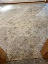 carpet cleaning advanced interior care