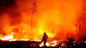Incendies en Gironde : six questions sur les deux feux « hors norme » qui  ravagent le département
