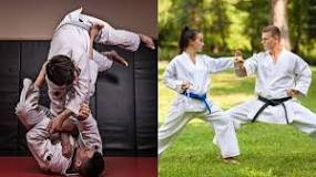 Image result for Jiu Jitsu Prices In South Africa
